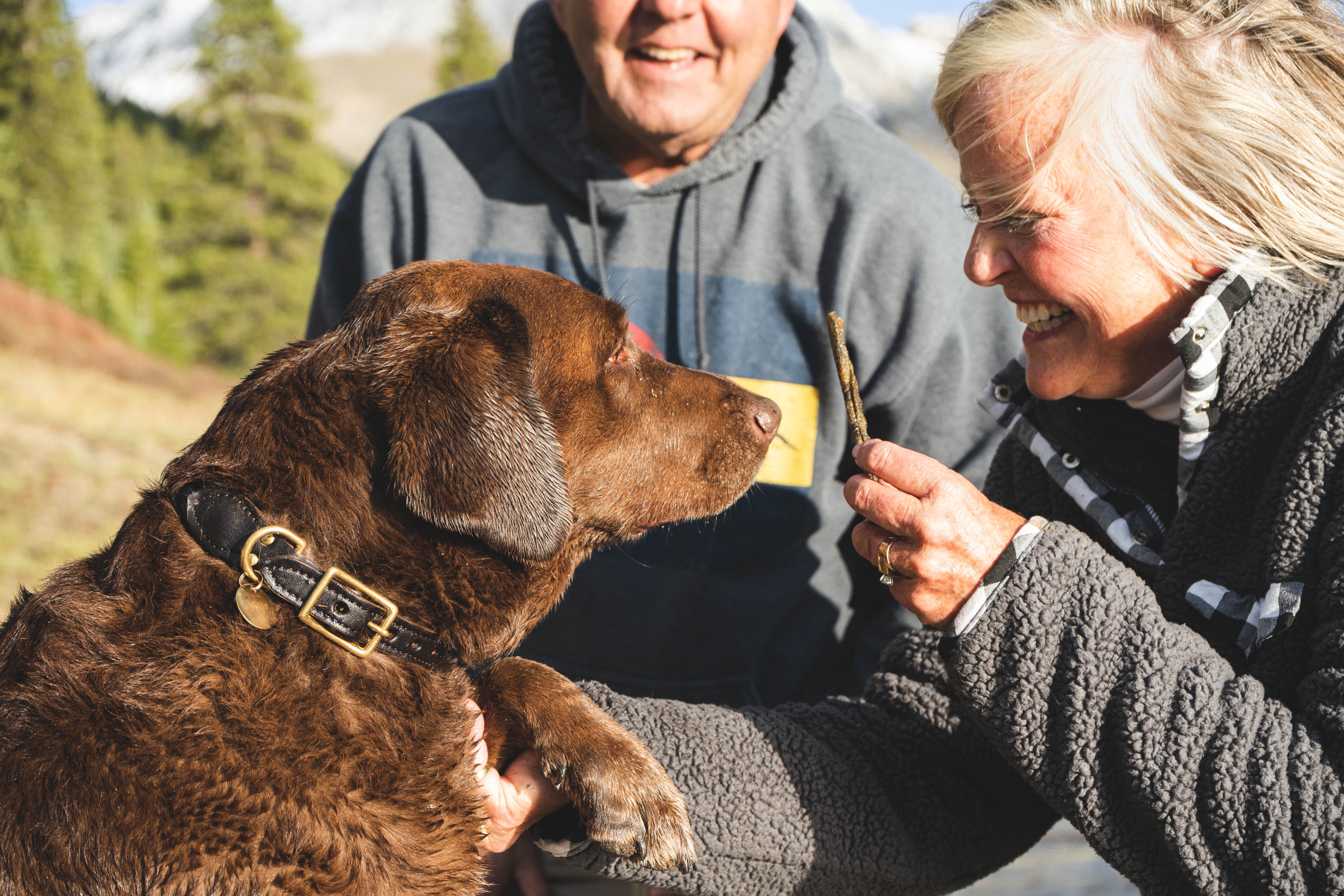 pareja de adultos mayores con su perro 