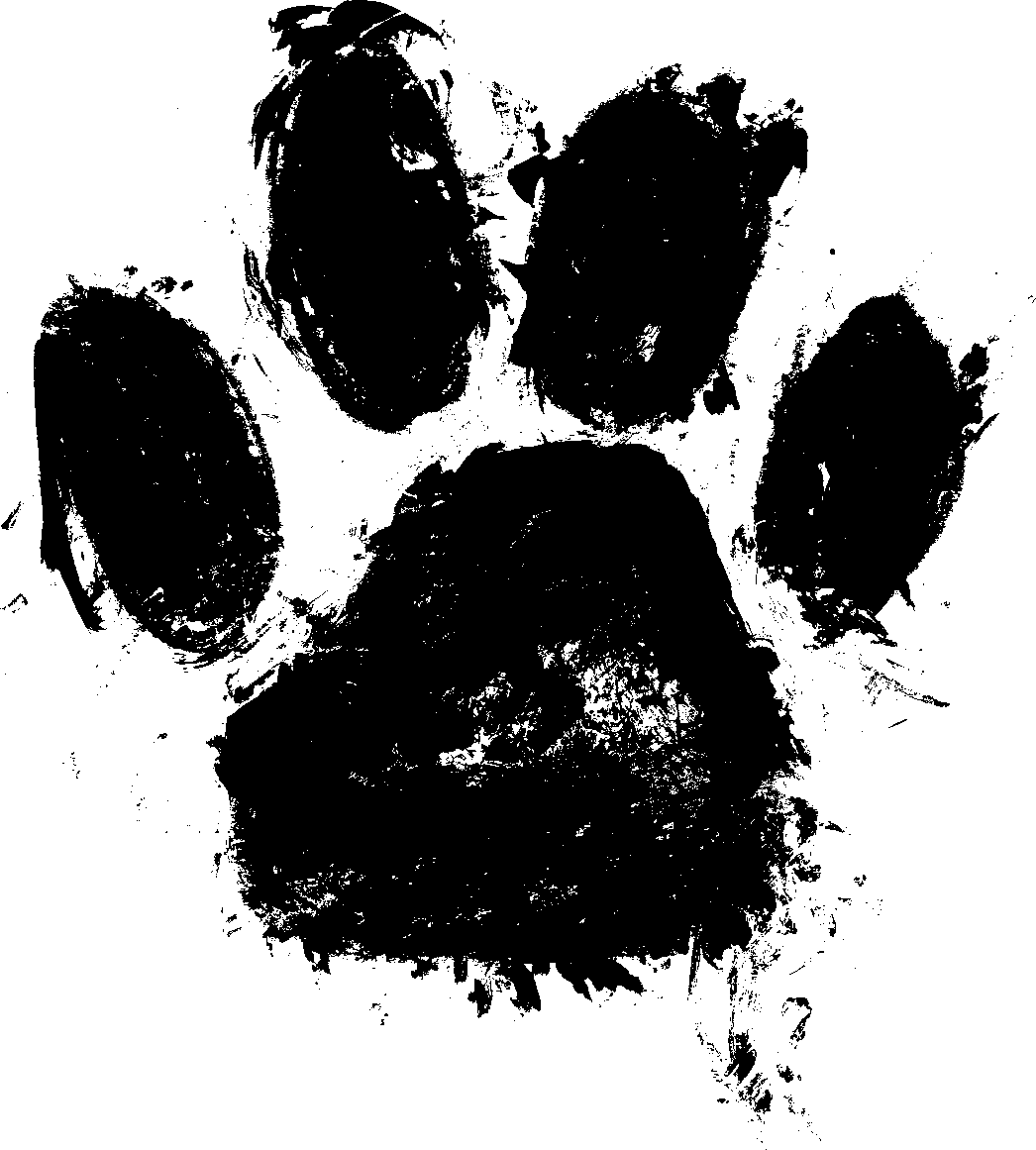 Huella de perro